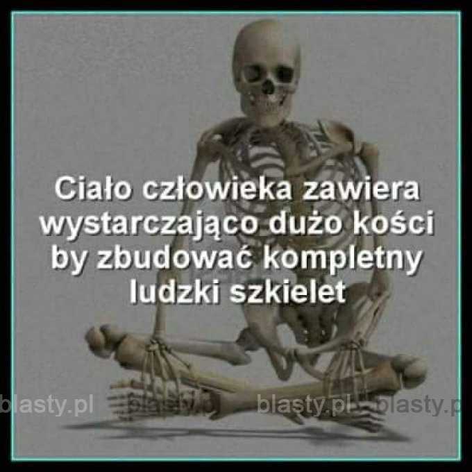 Ciało człowieka zawiera