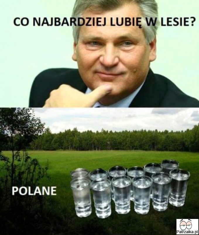 Co najbardziel lubie w lesie ?