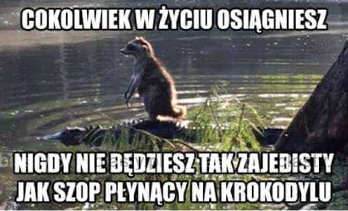 Cokolwiek w życiu osiągniesz