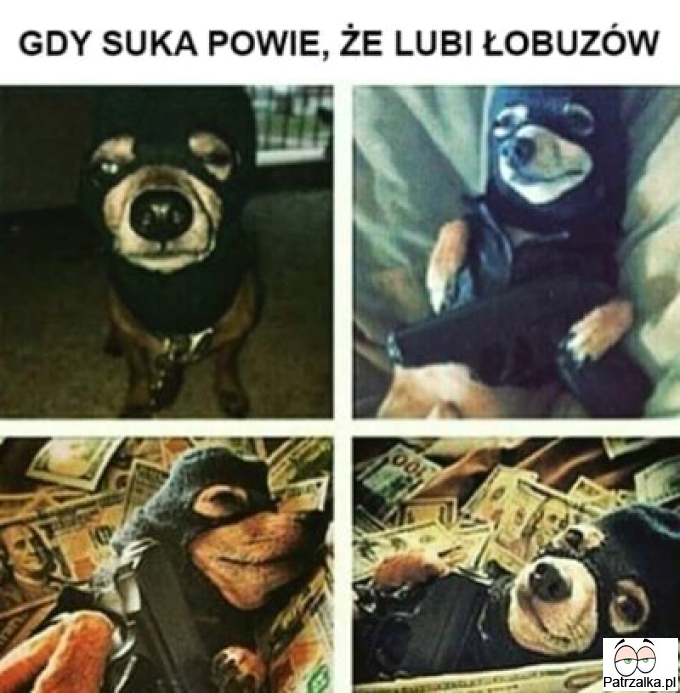 Gdy suka powie, że lubi łobuzów