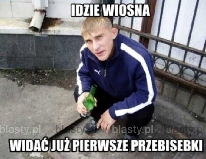 Idzie wiosna, widać już pierwsze przebisebki