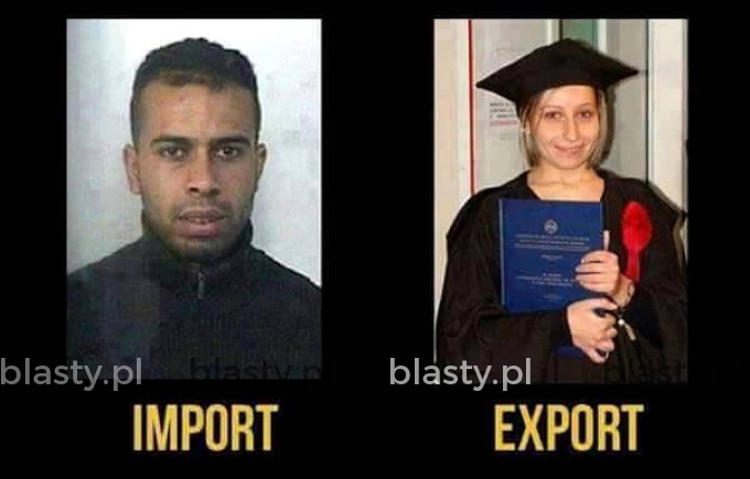 Import vs export