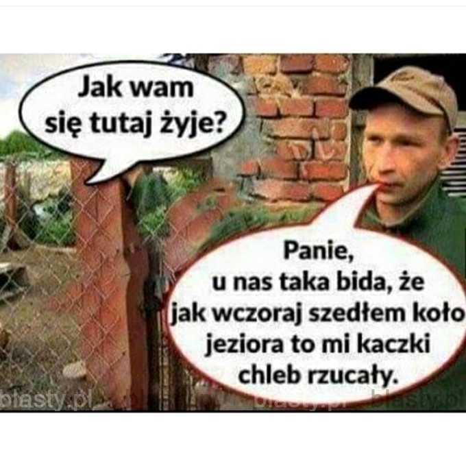 Jak wam się tutaj żyje