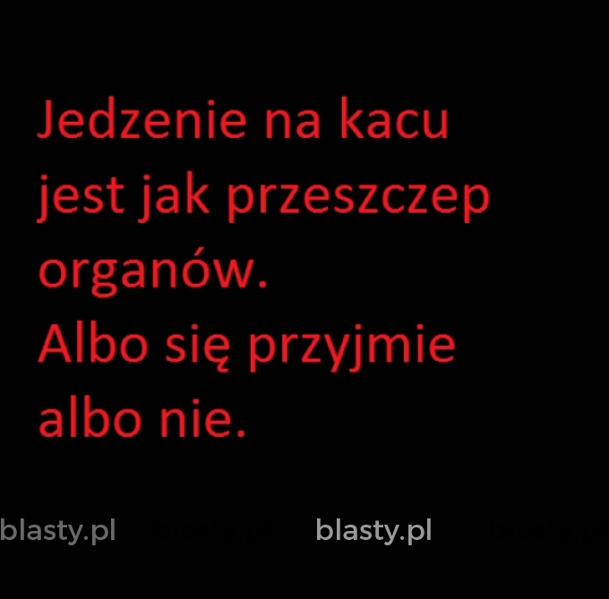 Jedzenie na kacu jest jak przeszczep organów albo się przyjmie albo nie