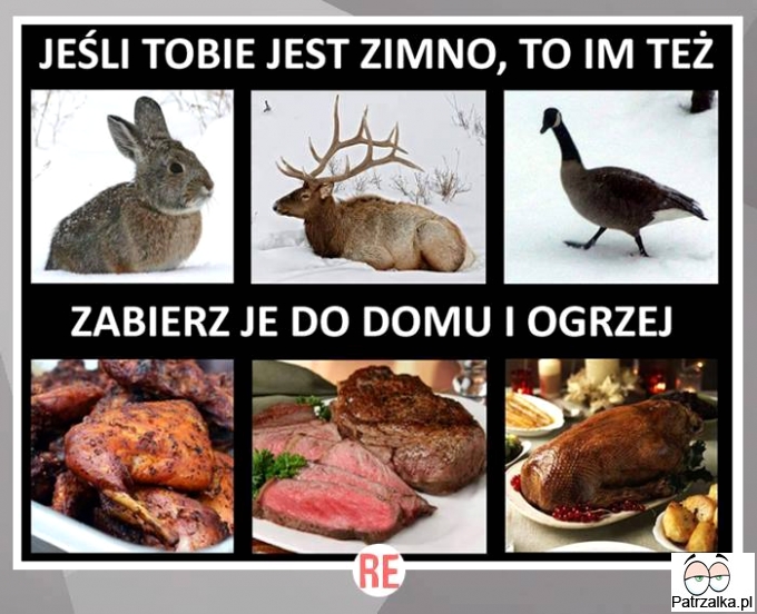 Jeśli Tobie jest zimno, to im też