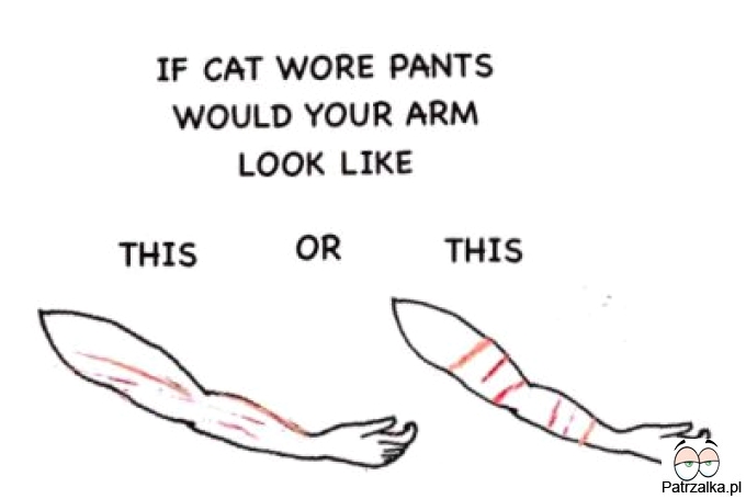 Jeśli ubrać kota w spodnie, to Twoje ramię jakby wyglądało?
