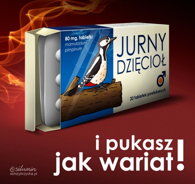 Jurny dzięcioł