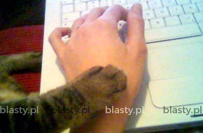 Już wystarczy na dzisiaj internetu człowieku Już wystarczy na dzisiaj internetu człowieku