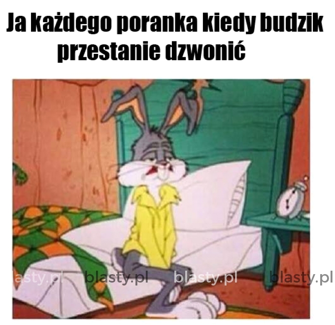 Każdego dnia to samo