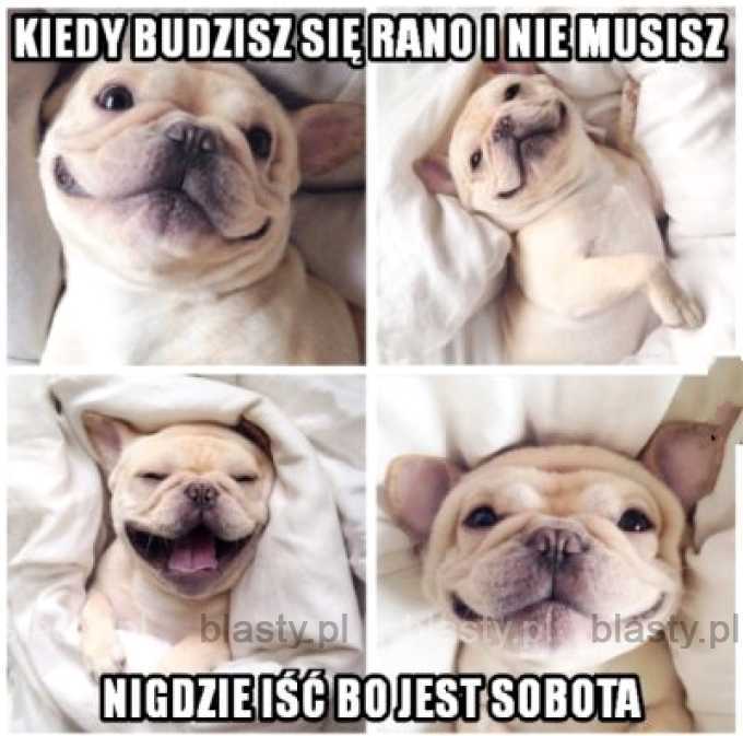 Kiedy budzisz się rano