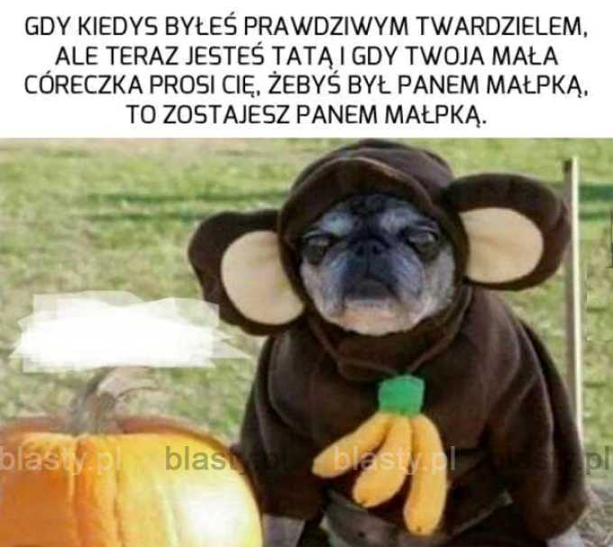 Kiedy byłeś prawdziwym twardzielem, ale już nie jesteś