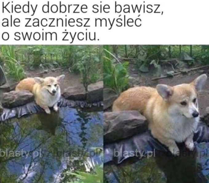 Kiedy dobrze się bawisz