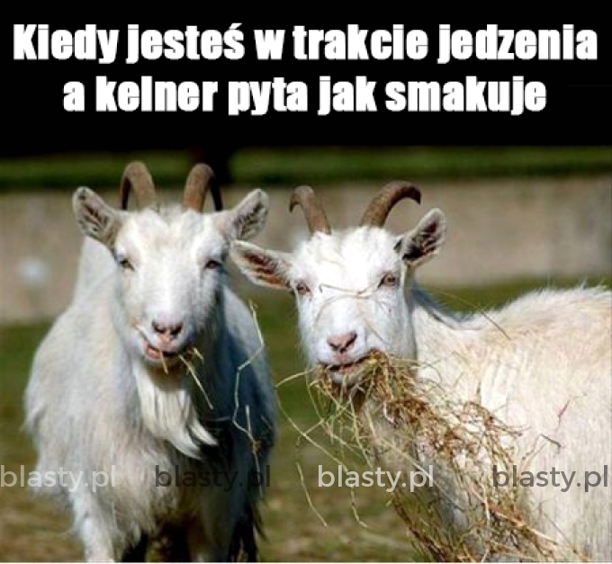 Kiedy ktoś zawraca Ci dupę w trakcie jedzenia