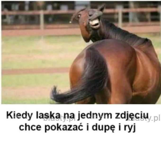 Kiedy laska na jednym zdjęciu