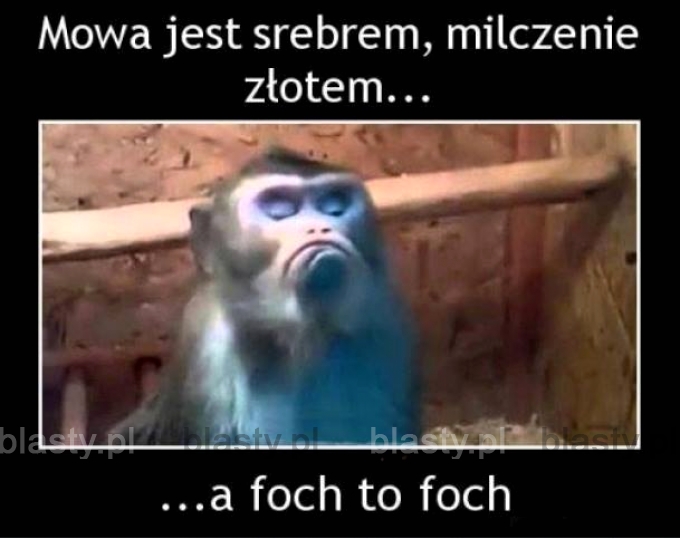 Kiedy ona strzeli focha