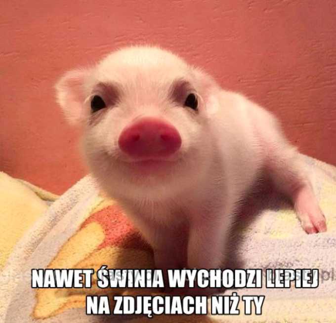 Kiedy robisz sobie zdjęcia do Facebooka to...