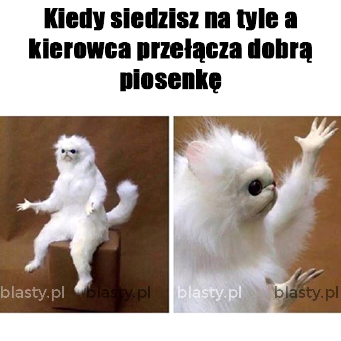 Kiedy siedzisz na tyle