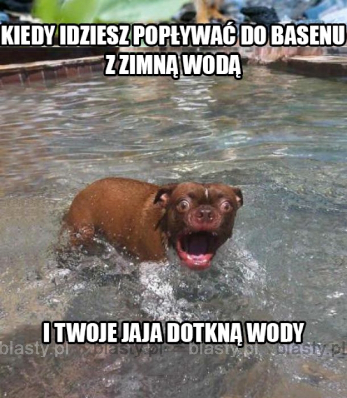 Kiedy wejdziesz do zimnej wody