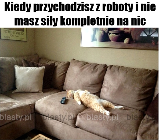 Kiedy wracasz z roboty