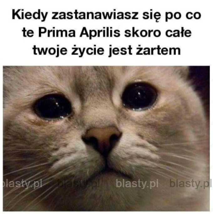 Kiedy zastanawiasz się, po co ten cały prima aprilis