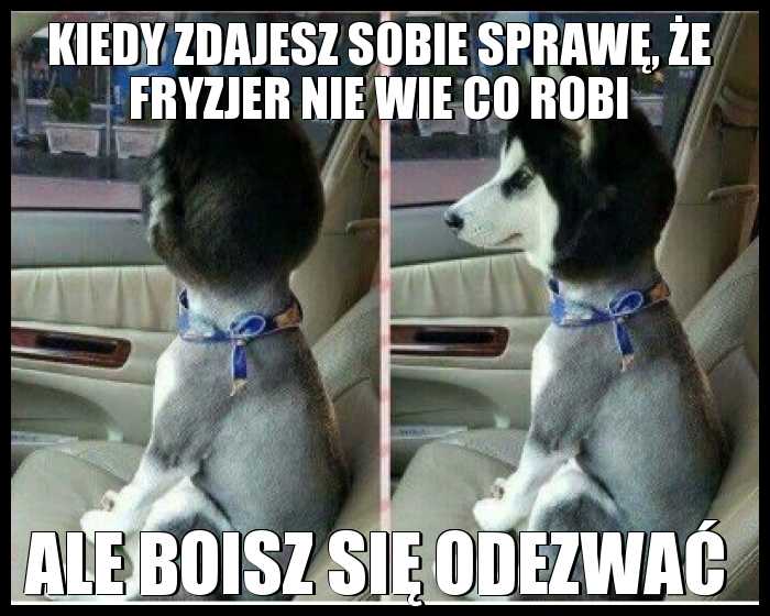 Kiedy zdajesz sobie sprawę, że fryzjer nie wie co robi, ale boisz się odezwać