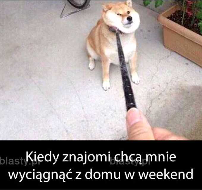 Kiedy znajomi chcą mnie wyciągnąć na weekend