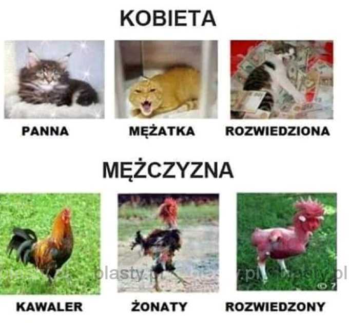 Kobieta vs mężczyzna