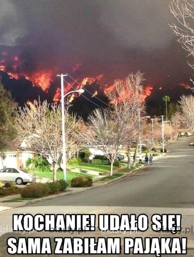 Kochanie udało się