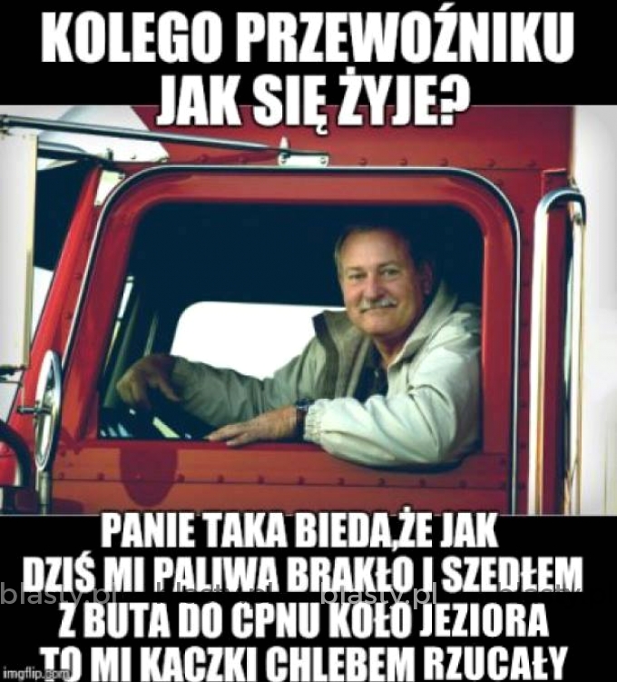 Kolego przewoźniku jak się zyję