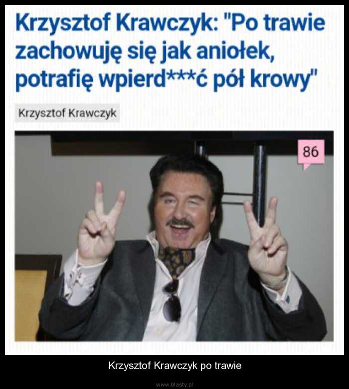 Krzysztof Krawczyk po trawie