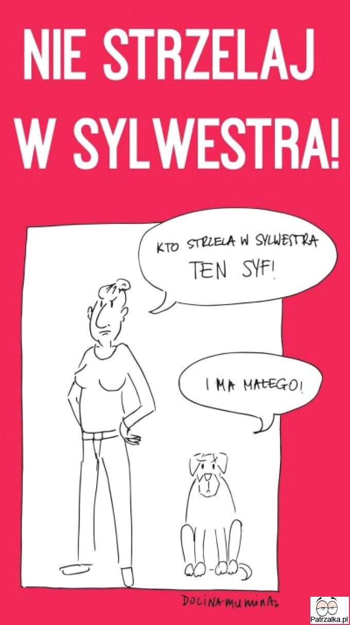 Kto strzela w sylwestra