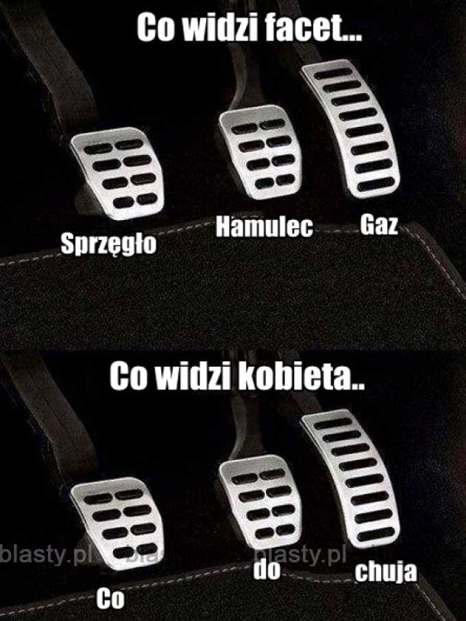 Laski tak mają