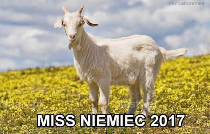 Miss Niemiec 2017