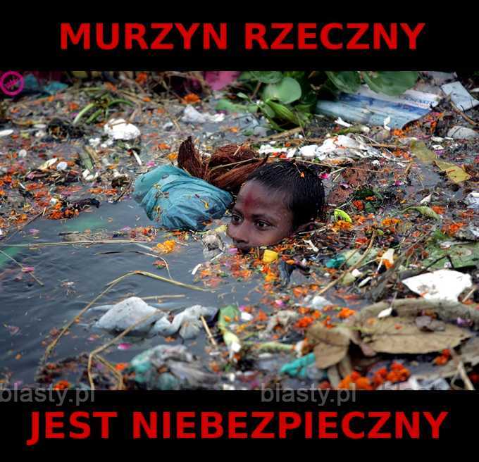 Murzyn rzeczny