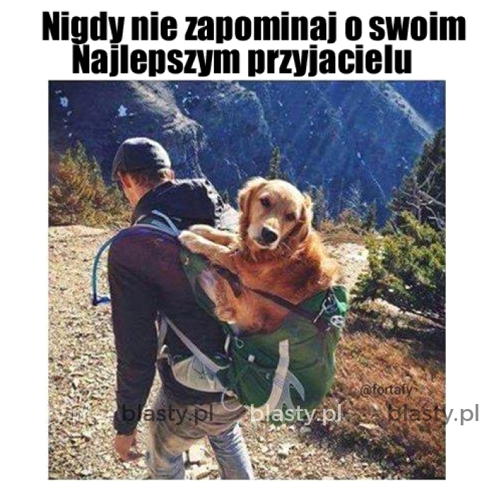 Nie zapominaj