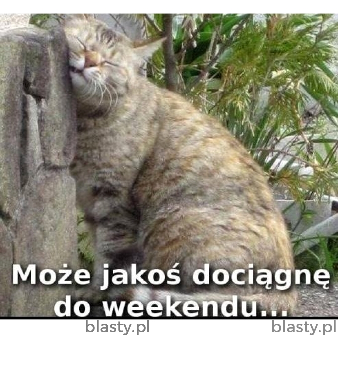 Oby do weekendu