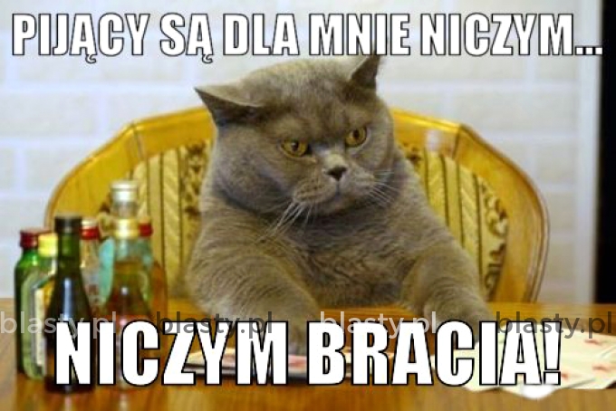 Pijacy są niczym...