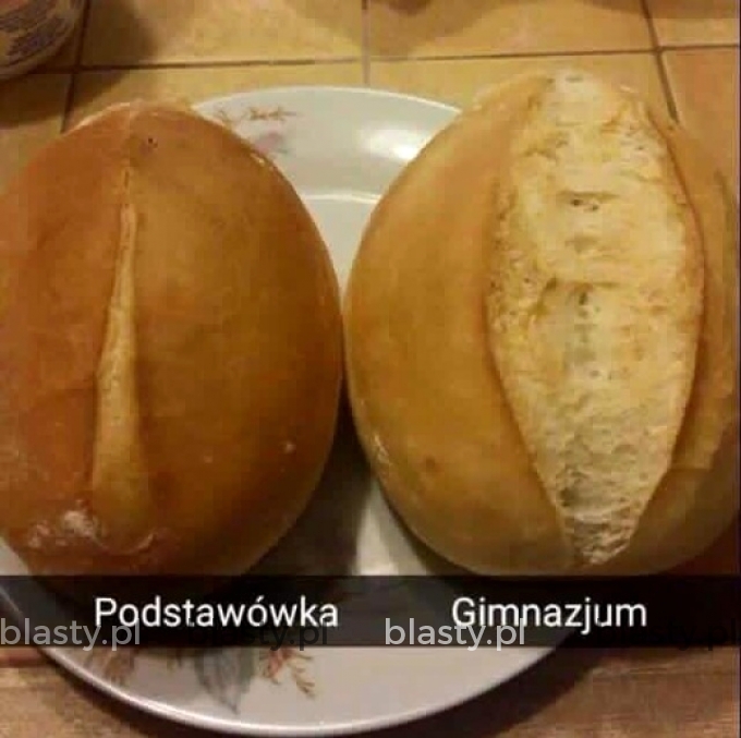 Podstawówka vs gimnazjum