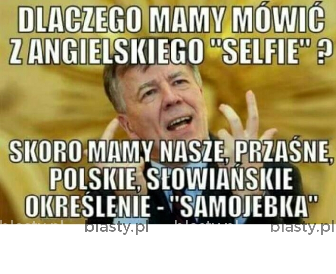 Polacy nie gęsi swój język mają