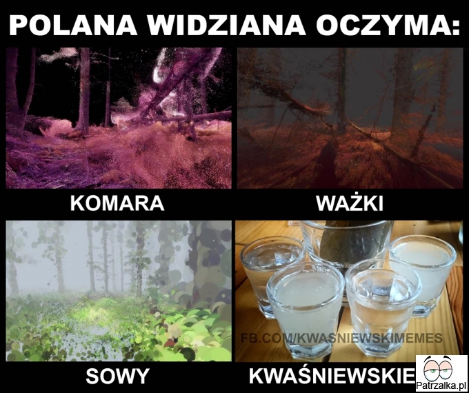 Polana widziana oczyma