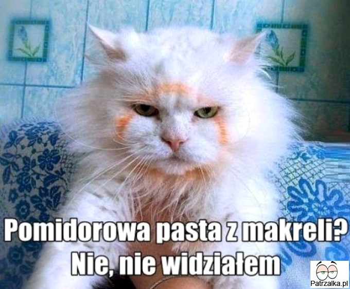 Pomidorowa pasta z makreli ?