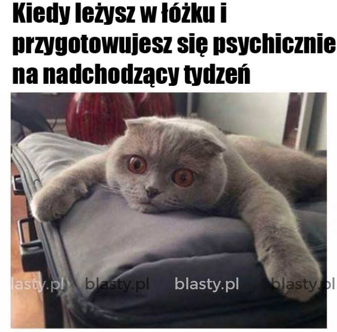 Przygotowanie ważna rzecz