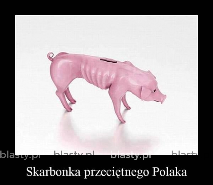 Skarbonka przeciętnego polaka