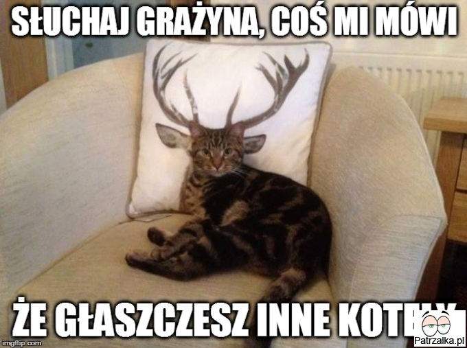 Słuchaj Grażyna coś mi mówi, że głaszczesz inne koty