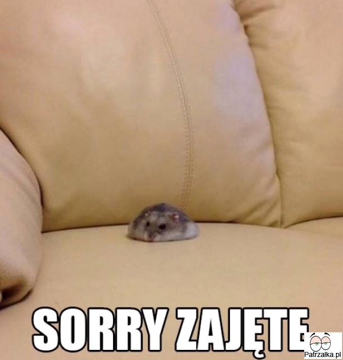 Sorry zjajęte