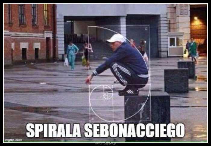 Spirala Sebonacciego