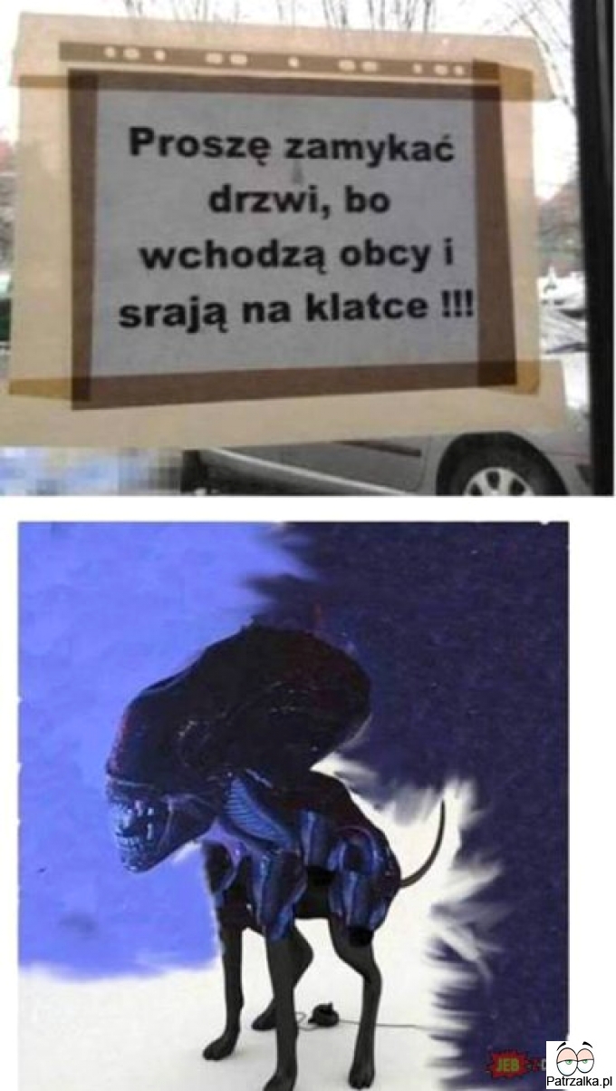 Szczere wyznanie