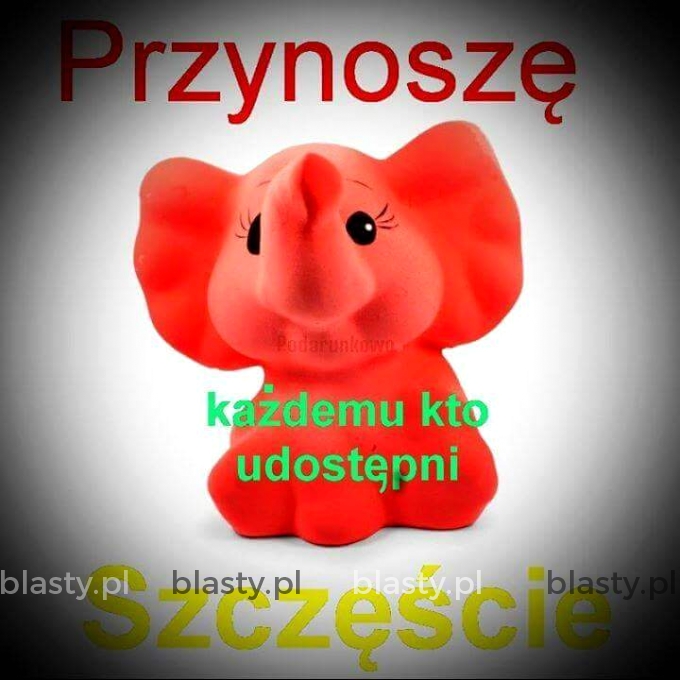 To działa