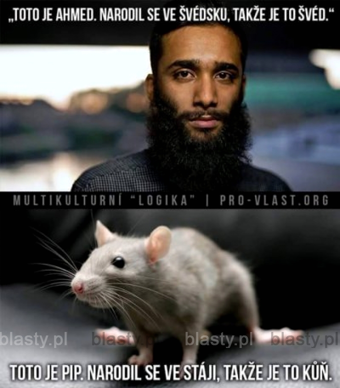 ToTo Je Ahmed