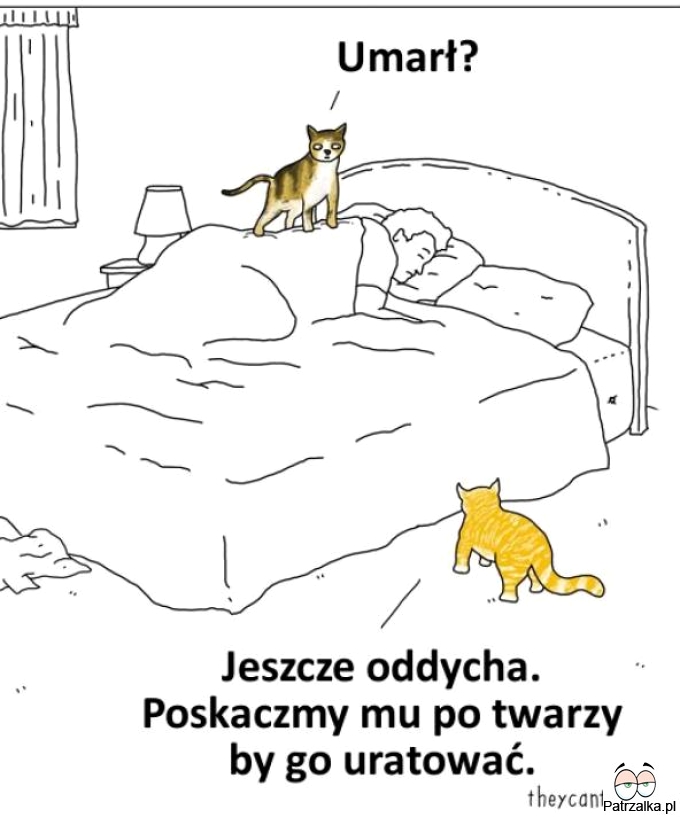 Umarł ?